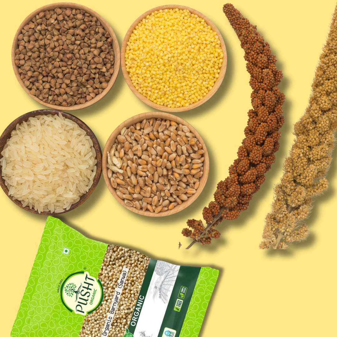 Organic Millets