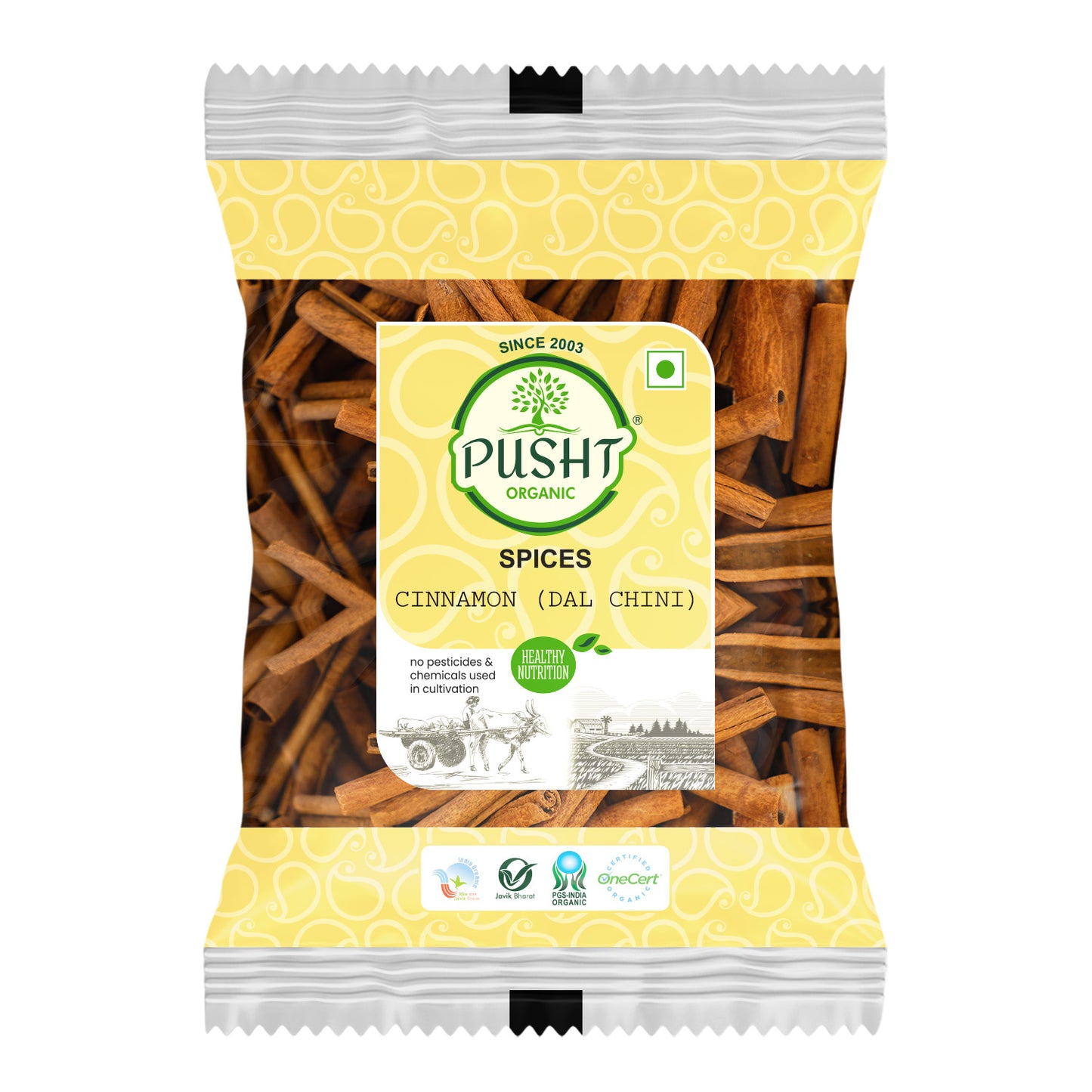Pusht Organic Cinnamon Powder 100 Gm