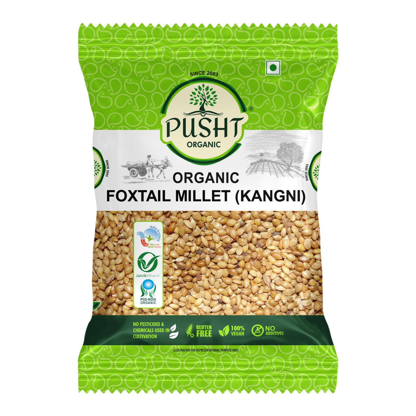 Organic Foxtail Millet (Kangni) - 1kg