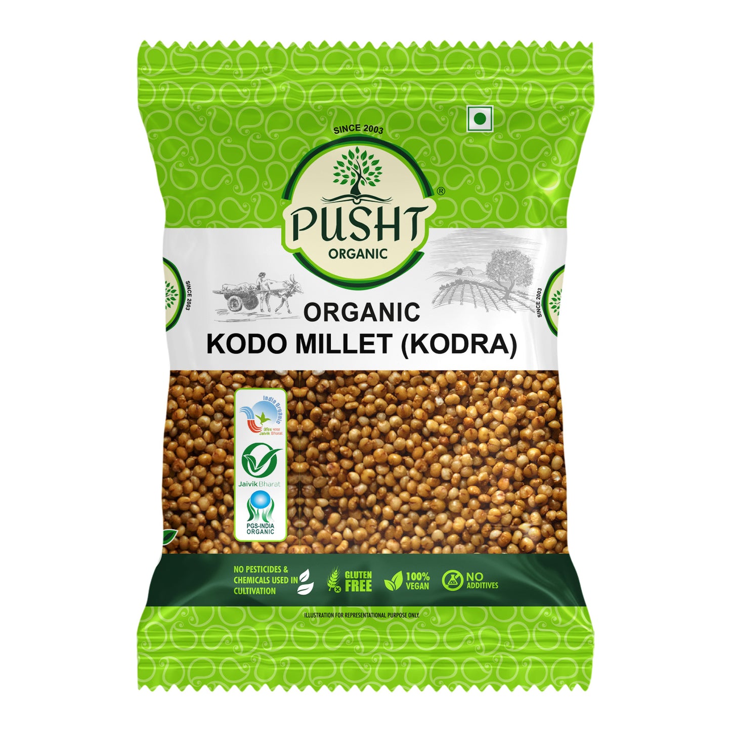 Organic Kodo Millet (Kodra) - 1kg