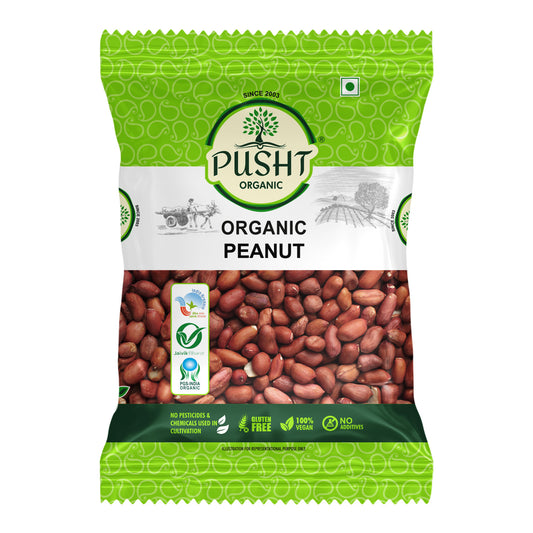 Pusht Organic Peanut 500Gm