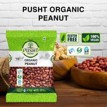 Pusht Organic Peanut 500Gm
