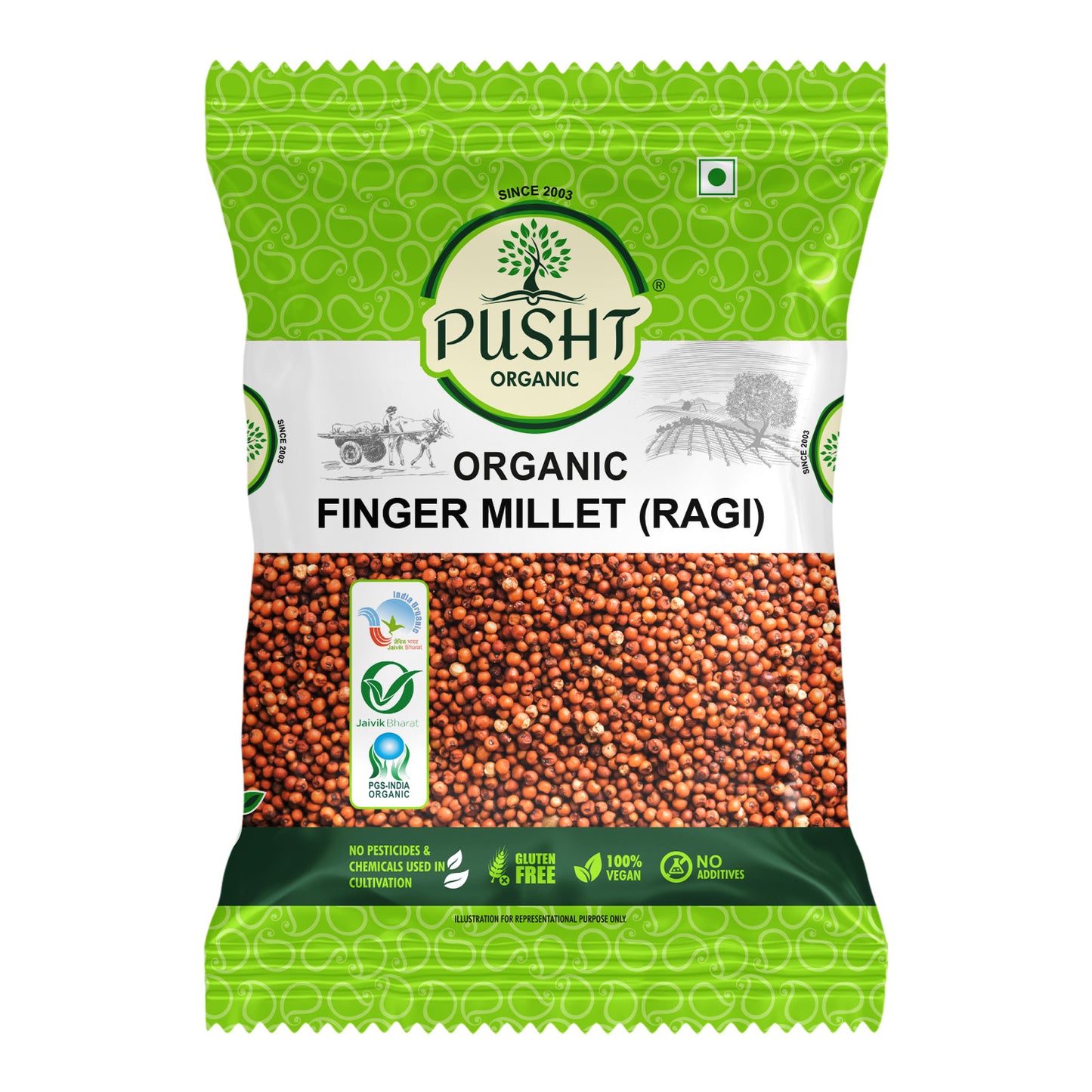 Organic Finger Millet (Ragi) - 1kg