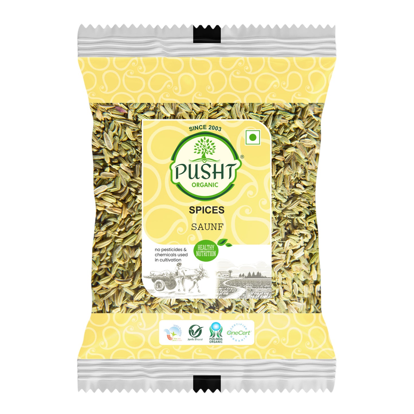 Organic Saunf (Fennel Seed)