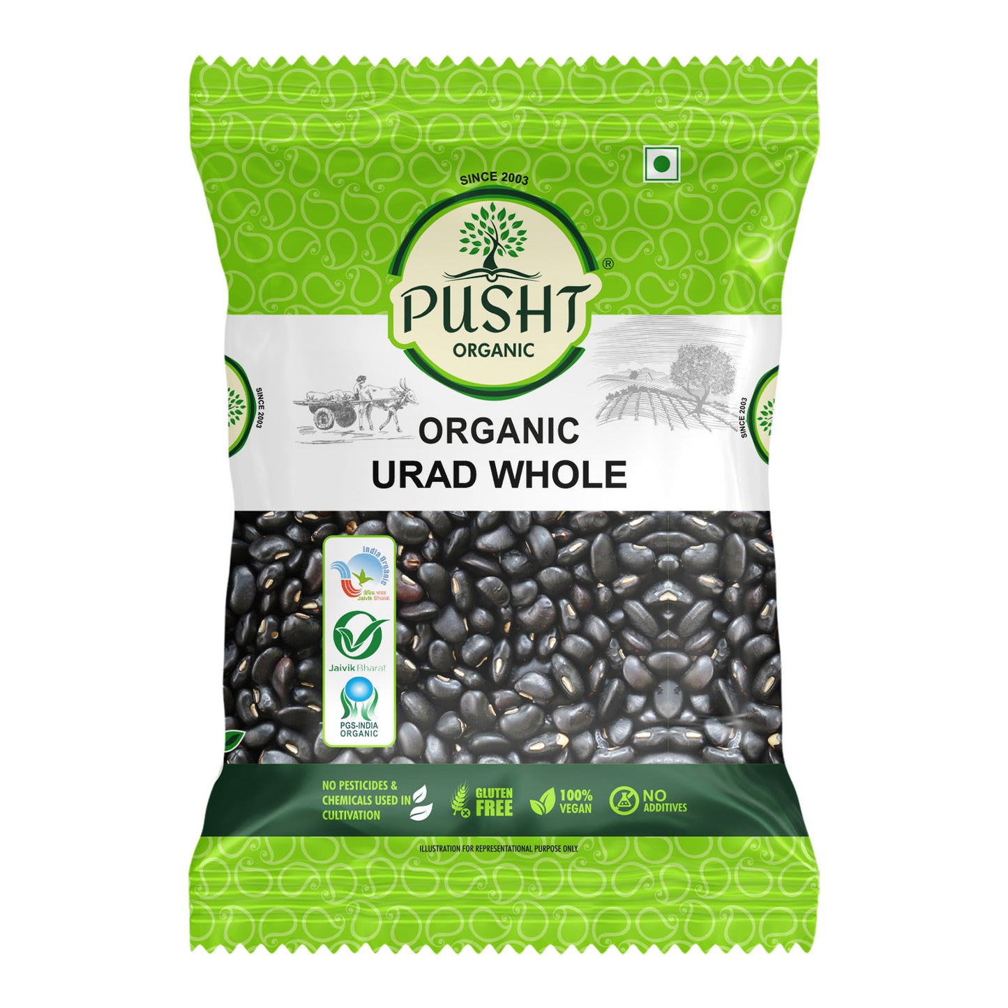 Organic Urad Dal Whole (Black Gram)