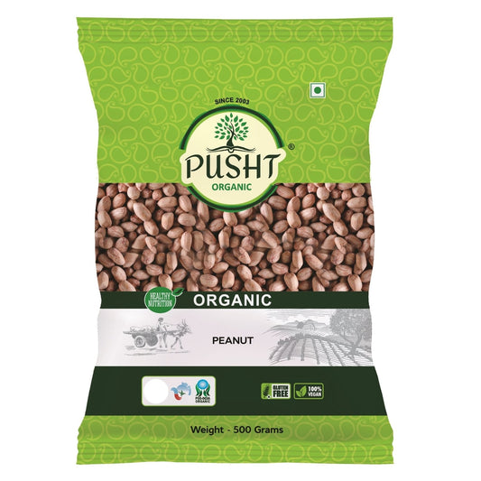 Pusht Organic Peanut 500Gm