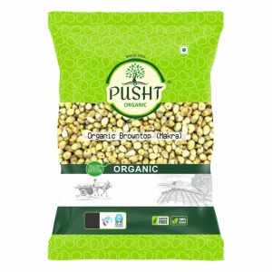 organic browntop millet