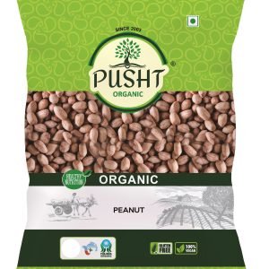 Pusht Organic Peanut 500Gm